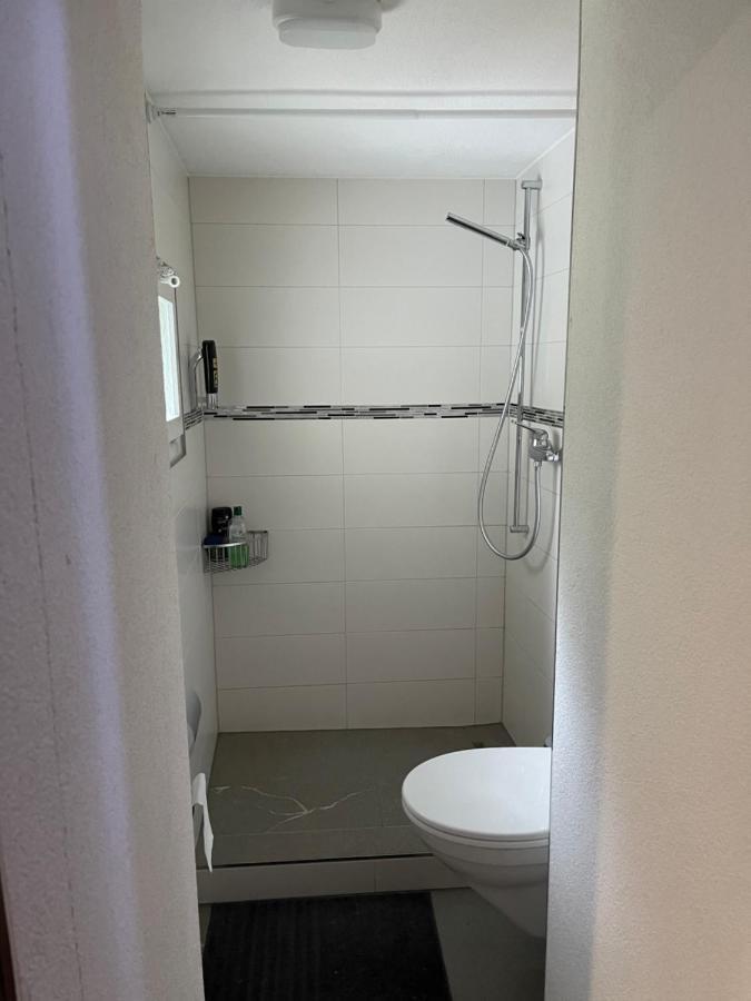 Apartamento Haus Alpenhof Wassen Exterior foto